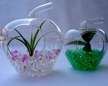 Декорирование гидрогелем растений в стеклянной посуде