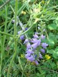 DSC04869.JPG
