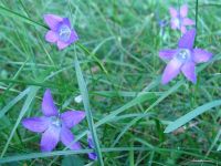 DSC03994.JPG
