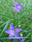 DSC03993.JPG