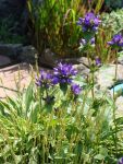 DSC03925.JPG