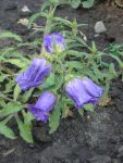 DSC03951.JPG