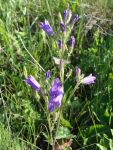 DSC04769.jpg