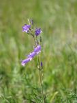DSC04800.jpg