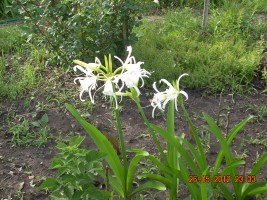 DSCN3870.JPG