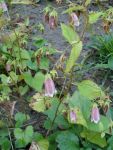 DSC08172.JPG