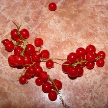 Красная смородина очень ранняя ягода, созревает раньше лесной земляники