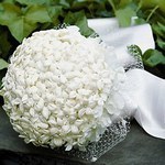 Стефанотис - цветок для букета невесты