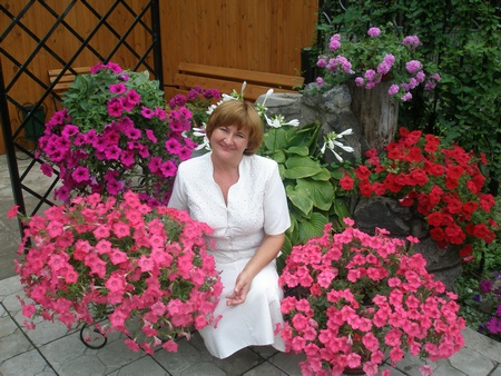Продажа крупноцветковых горшечных хризантем из Полтавской области с доставкой по Украине.