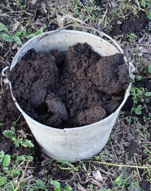 Гумусовый слой почвы