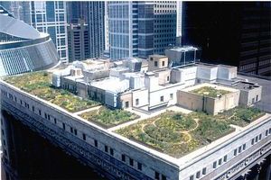 Сад на крыше здания мэрии в Чикаго