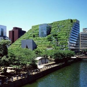 Сад на крыше здания в Японии