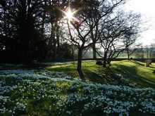 Весна в английском саду Светлости