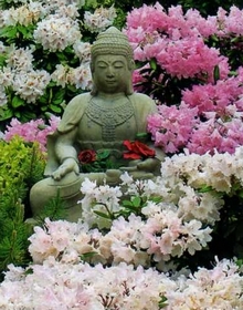 Дух дзен-буддизма обязательно воплощен во все сады и парки Японии