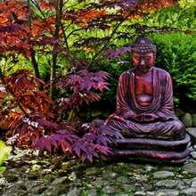 В японских садах часто присутствует символ мудрости – японский клен