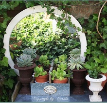 Трельяж, созданный при помощи круглого зеркала, установленного на тумбу с горшочными растениями, увеличивает пространство