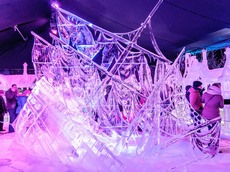 Фестиваль ледяной скульптуры в Брюгге, Бельгия 2014