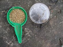 Особенно удобно сеять таким приборчиком мелкие семена, они распределяются равномерно, фото Ольги Людовой