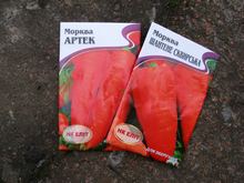 Хороши ранние сорта моркови, фото Ольги Людовой