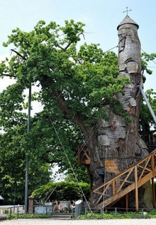 Легендарная часовня-дуб во Франции, фото с сайта peoples.ru