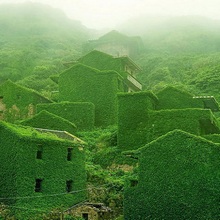 Заброшенная китайская деревня, поросшая плющом